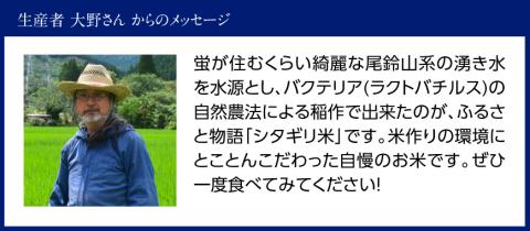 【令和6年産】 宮崎県産 こしひかり 「 シタギリ米 」 5kg×2 【 米 お米 白米 精米 国産 宮崎県産 こしひかり おにぎり 】