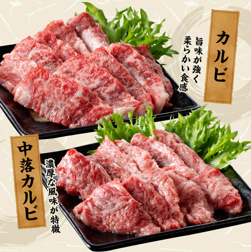 宮崎牛 焼肉 食べ比べ 6種盛 600g【 肉 牛肉 国産 宮崎県産 黒毛和牛 和牛 焼肉 バーベキュー 】