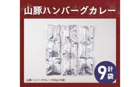 きじょん山豚 ハンバーグカレー 9食分(180g×9袋)【肉 豚肉 加工品 惣菜 レトルト 宮崎県産ブランド豚 おかず ハンバーグ カレーライス 簡単調理】