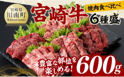 宮崎牛 焼肉 食べ比べ 6種盛 600g【 肉 牛肉 国産 宮崎県産 黒毛和牛 和牛 焼肉 バーベキュー 】