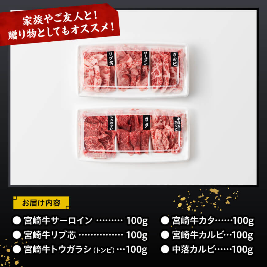 宮崎牛 焼肉 食べ比べ 6種盛 600g【 肉 牛肉 国産 宮崎県産 黒毛和牛 和牛 焼肉 バーベキュー 】