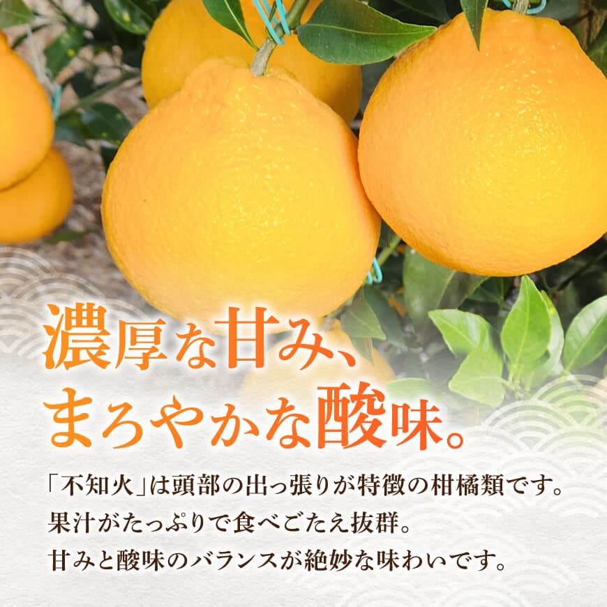 宮崎県川南町産「不知火（しらぬい）」６～１０玉 【 先行予約 季節限定 果物 くだもの フルーツ しらぬい 不知火 みかん 】