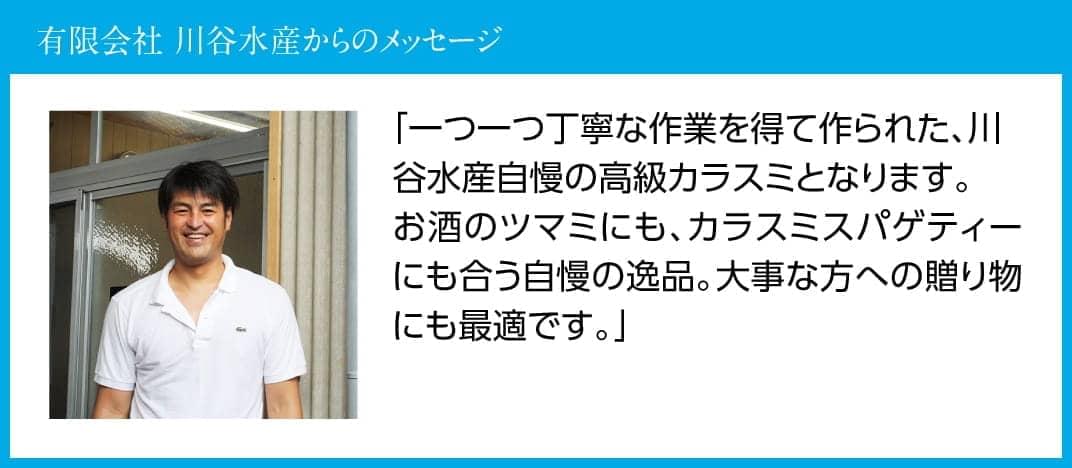 日向灘獲れ！手作り『カラスミ』240g以上 【 国産 日向灘 カラスミ ボラ おつまみ 珍味 送料無料 】