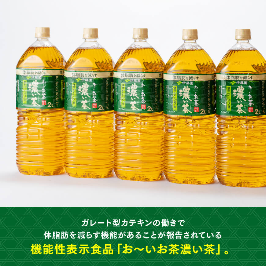 【12ヶ月定期便】おーいお茶 濃い茶 2L×6本×2ケース PET【お茶 緑茶 飲料 ソフトドリンク ペットボトル お〜いお茶 全12回 定期便】