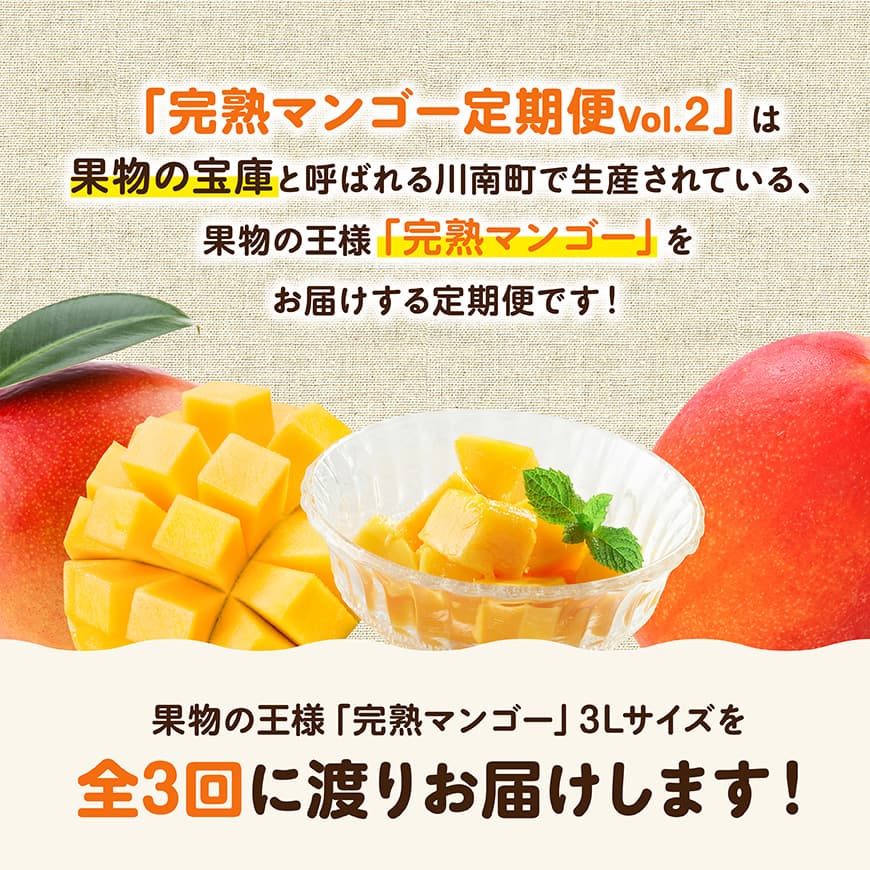 【3ヶ月定期便】完熟マンゴー定期便Vol.2 【 川南町産 くだもの マンゴー   】