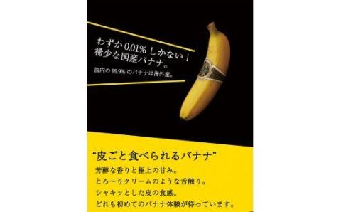 国産バナナNEXT716 「12本」　レギュラーサイズ【国産 バナナ 無農薬 フルーツ 果物 デザート 朝食 スムージー 川南町】