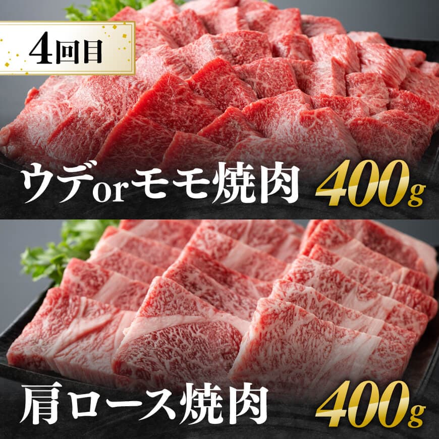 【6ヶ月定期便】厳選焼肉定期便【肉 牛肉 国産 宮崎県産 宮崎牛 焼肉 BBQ モモ ウデ 肩ロース 】