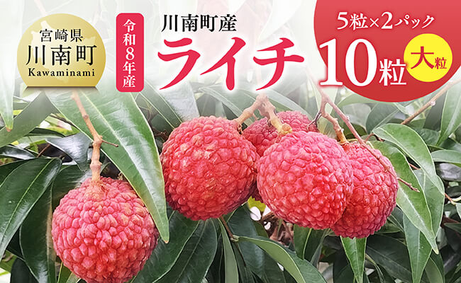 【令和8年産】川南町産ライチ（大粒）10粒(5粒×2パック)【 国産ライチ フルーツ デザート 宮崎県産 】