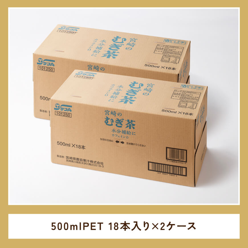 繧オ繝ウA螳ョ蟠弱ョ繧縺手幻縲500ml PETテ18譛ャテ2繧ア繝シ繧ケ 縲 縺願幻 鮗ヲ闌カ 螳ョ蟠守恁逕」 繝壹ャ繝医懊ヨ繝ォ 縲