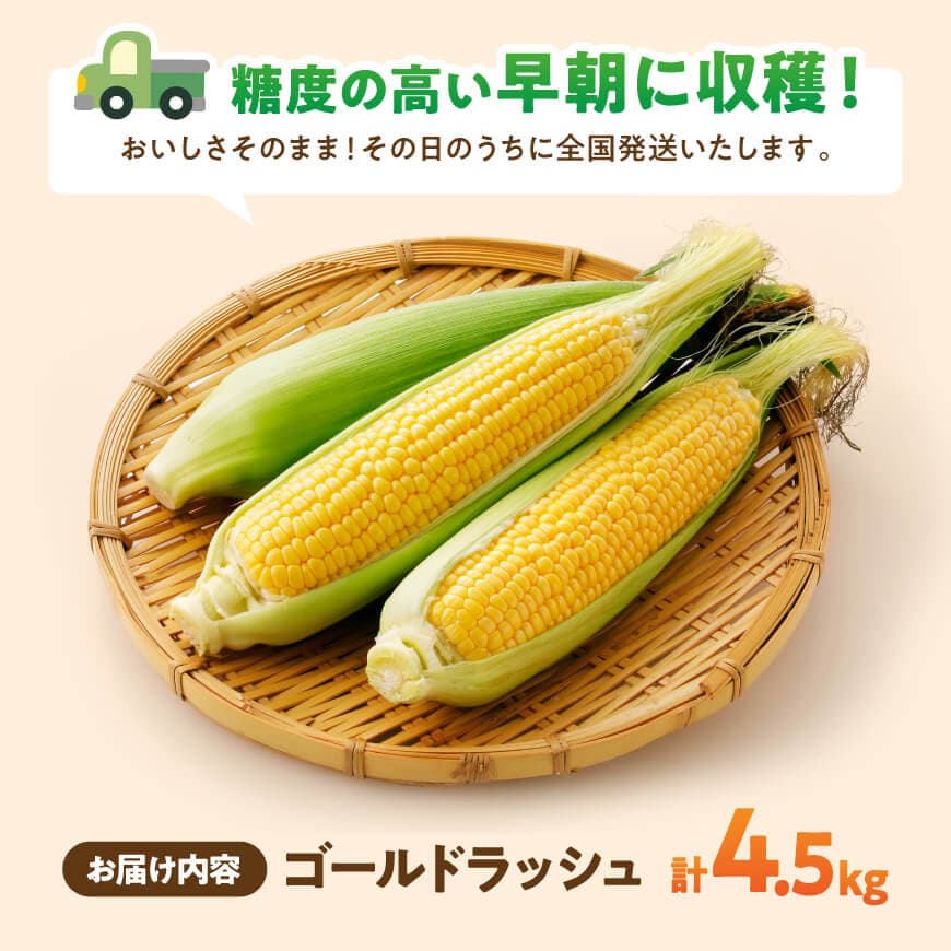 【令和8年発送】黒木さんのゴールドラッシュ4.5kg【 数量限定 季節限定 産地直送 とうもろこし コーン とうきび 野菜 】