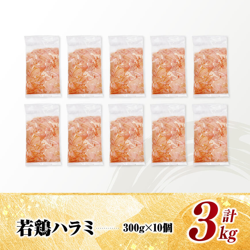 å®®åŽçç£è¥é¶ããã©ã3kgïŒ300gÃ10ïŒ ã é¶è é¶ ãã©ã è å®®åŽçç£ å°åã ãã㯠éæç¡æ ã