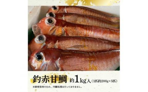 『釣赤甘鯛 C』【鮮魚 さかな 九州 宮崎 川南町 新鮮 魚介 海の幸 魚 G4407】