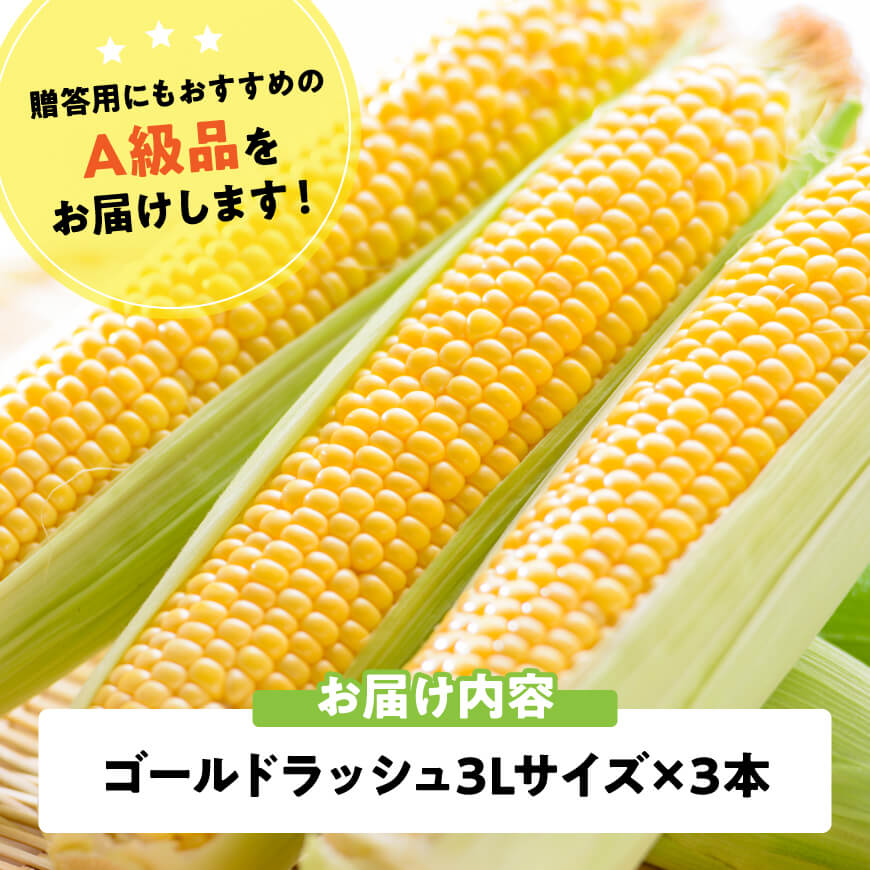 【令和8年発送】宮崎県産とうもろこし　スイートコーン「ゴールドラッシュ」3L×3本【新鮮 農家直送 トウモロコシ 産地直送 季節限定 期間限定 宮崎県産 九州産】