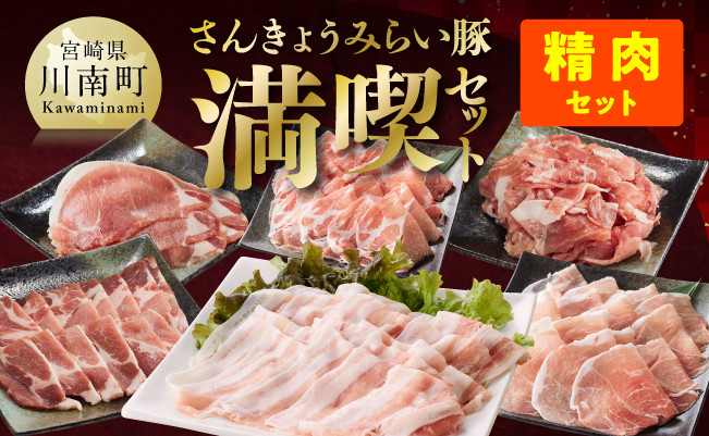 【令和6年11月発送】【いろんな料理にアレンジできちゃう満喫コース】（精肉）さんきょうみらい豚満喫セット【豚肉 ポーク ぶた 国産 宮崎県産 さんきょうみらい豚 大人気】