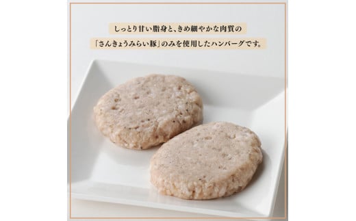 【令和8年3月発送】さんきょうみらい豚 ”ふんわりやわらか” ハンバーグセット(90g×11P、ソース200g付) 【 豚肉 国産 肉 豚 おかず 惣菜 ハンバーグ 】