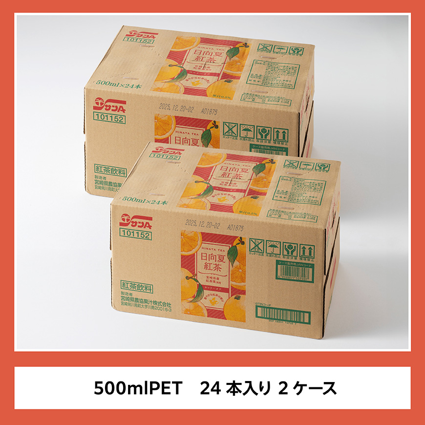 サンA 日向夏 紅茶 HINATA TEA 500mlＰＥＴ 24本 入り×2ケース 【飲料 日向夏 紅茶 PET ジュース 長期保存 送料無料】