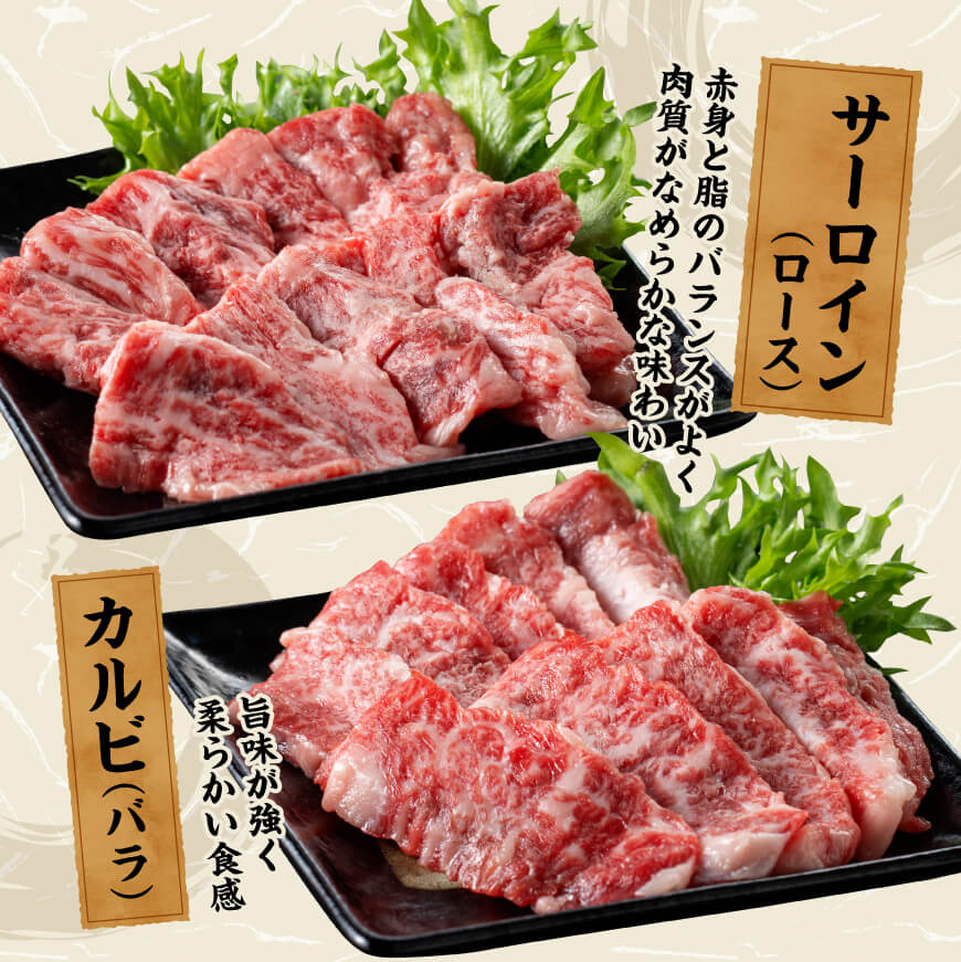 宮崎牛 焼肉 食べ比べ 3種盛 300g【 肉 牛肉 国産 宮崎県産 黒毛和牛 和牛 焼肉 バーベキュー 】