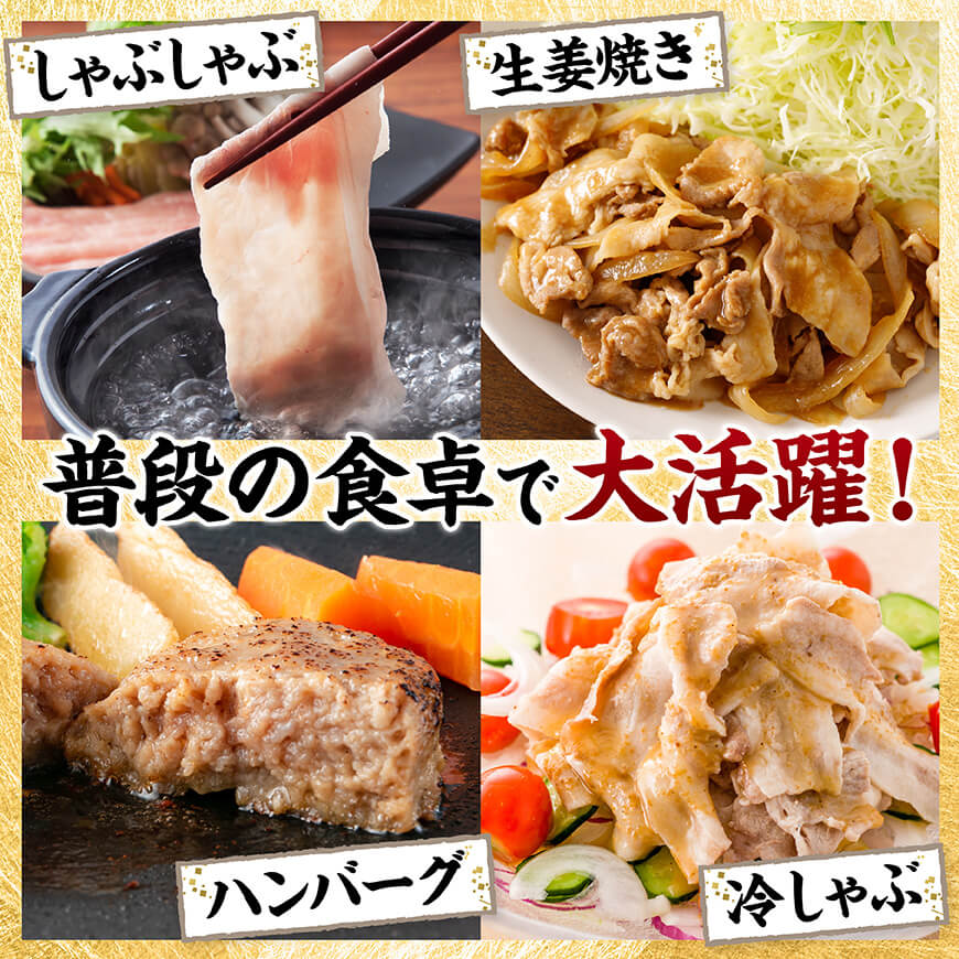 宮崎県産豚肉5種　5kg 【 豚肉 ぶた肉 肉 ロース バラ 切り落とし ミンチ 豚肉セット 】