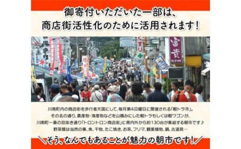 【3ヶ月定期便】宮崎県産若鶏　日南どり　もも肉＆むね肉　計4kg（各2㎏×1） 【 ふるさと納税 鶏肉 鶏 若鶏 もも むね セット 宮崎県産 川南町 おうち時間 おうちごはん 定期便 送料無料 】