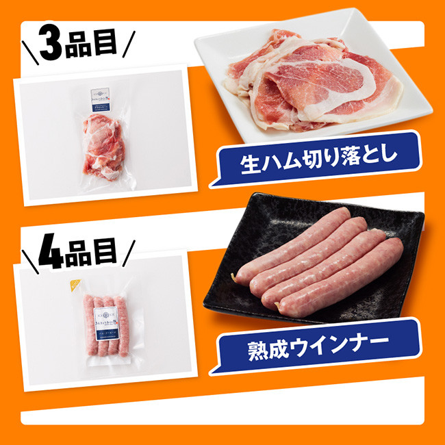 【令和7年3月発送】【かんたん調理で満喫コース】（加工品）さんきょうみらい豚満喫セット【豚肉 ポーク ぶた 国産 宮崎県産 さんきょうみらい豚 大人気】