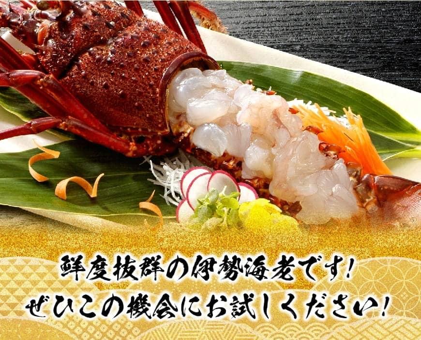 《先行予約》担当者厳選！伊勢海老(小)1000g（5～9尾） 【 伊勢えび 魚介類 いせえび 海産物 宮崎県産 国産 】