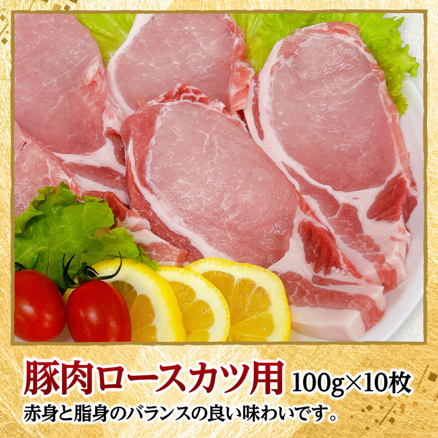 宮崎県産豚肉ロース・ヒレカツ1.3kg 【 豚肉 豚 肉 宮崎県産 ロースカツ ヒレカツ 送料無料 】