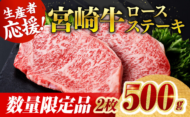 《数量限定》宮崎牛ロースステーキ2枚 (500g)【 肉 牛肉 宮崎県産 黒毛和牛ミヤチク】