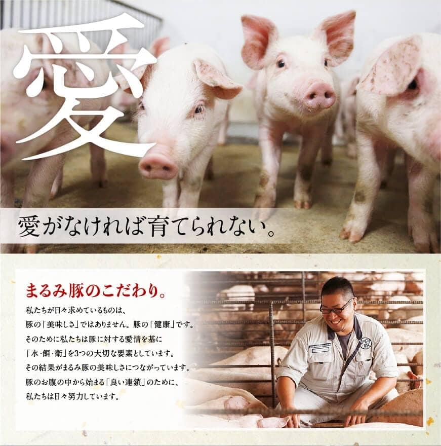 縲後∪繧九∩雎壹榊ョョ蟠守恁逕」雎夊i 譎ら洒繧サ繝繝医 雎夊i 雎 閧 蝗ス逕」 蟾晏漉逕コ 譎ら洒 繧サ繝繝 螳ョ蟠守恁逕」 縲