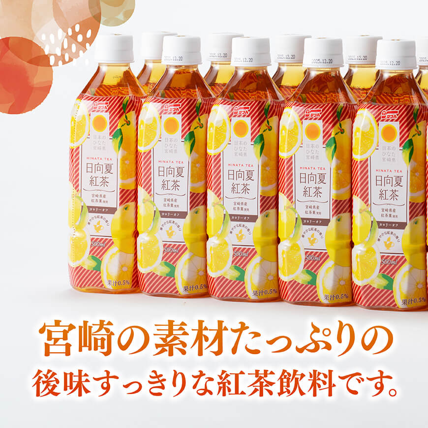 サンA 日向夏 紅茶 HINATA TEA 500mlＰＥＴ 24本 入り 【飲料 日向夏 紅茶 PET ジュース 長期保存 送料無料】