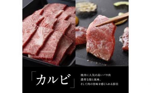 宮崎牛焼肉セット（肩ロース＆バラ）1.3kg【4大会連続日本一 肉 牛肉 国産 黒毛和牛 肉質等級4等級以上 4等級 5等級 ミヤチク カルビ カタロース BBQ バーベキュー】