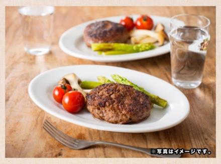 いぶさな牛 ハンバーグ 120g×4個 【 肉 牛肉 和牛 希少 ハンバーグ 焼くだけ 簡単 おうちごはん 】