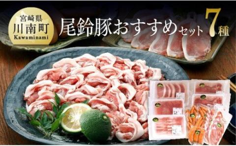 尾鈴豚おすすめセット 【 肉 豚肉 国産 九州産 宮崎県産 豚しゃぶ カツ 焼肉 バーベキュー バラエティ セット 】