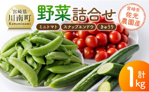 宮崎県佐光農園産　野菜詰め合わせ（ミニトマト・スナップエンドウ・きゅうり）計1kg 【 ミニトマト スナップエンドウ きゅうり 野菜 詰め合わせ 】