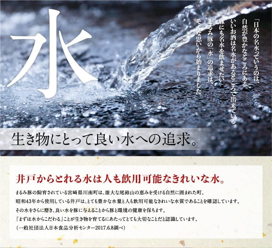 縲後∪繧九∩雎壹榊ョョ蟠守恁逕」雎夊i 譎ら洒繧サ繝繝医 雎夊i 雎 閧 蝗ス逕」 蟾晏漉逕コ 譎ら洒 繧サ繝繝 螳ョ蟠守恁逕」 縲