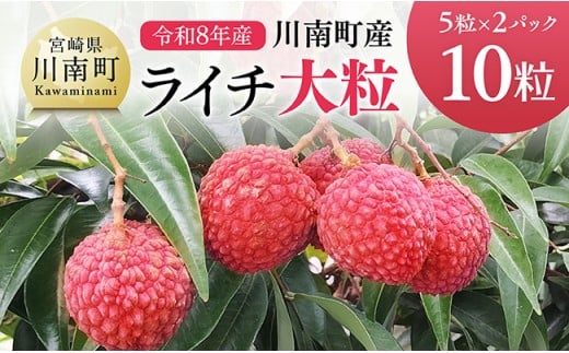 【令和8年産】川南町産ライチ（大粒）10粒(5粒×2パック) 【 国産ライチ フルーツ デザート 宮崎県産 】