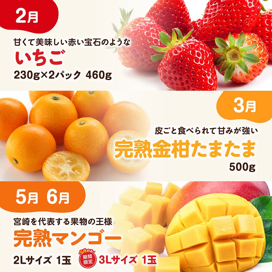 ※期間限定※【6ヶ月定期便】大人気くだもの定期便Vol.1 【 川南町産 くだもの いちご イチゴ きんかん マンゴー シャインマスカット ピオーネ  】