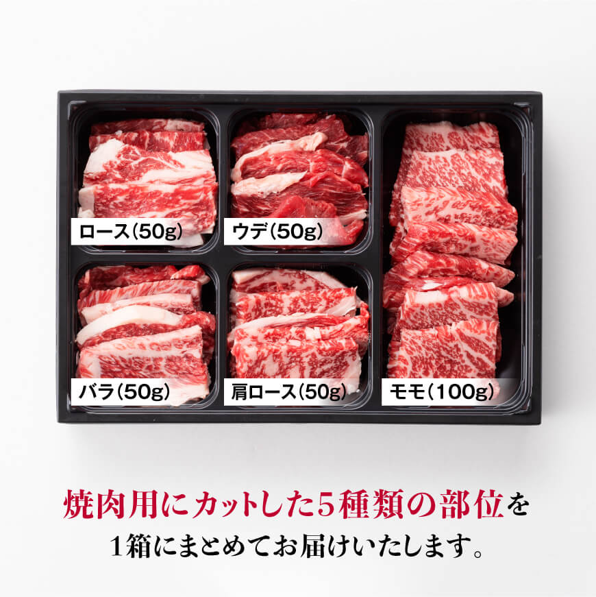 黒毛和牛5種盛り 焼肉セット（数量限定）300g 【 肉 牛肉 国産 宮崎県産 黒毛和牛 ミヤチク BBQ バーベキュー 送料無料