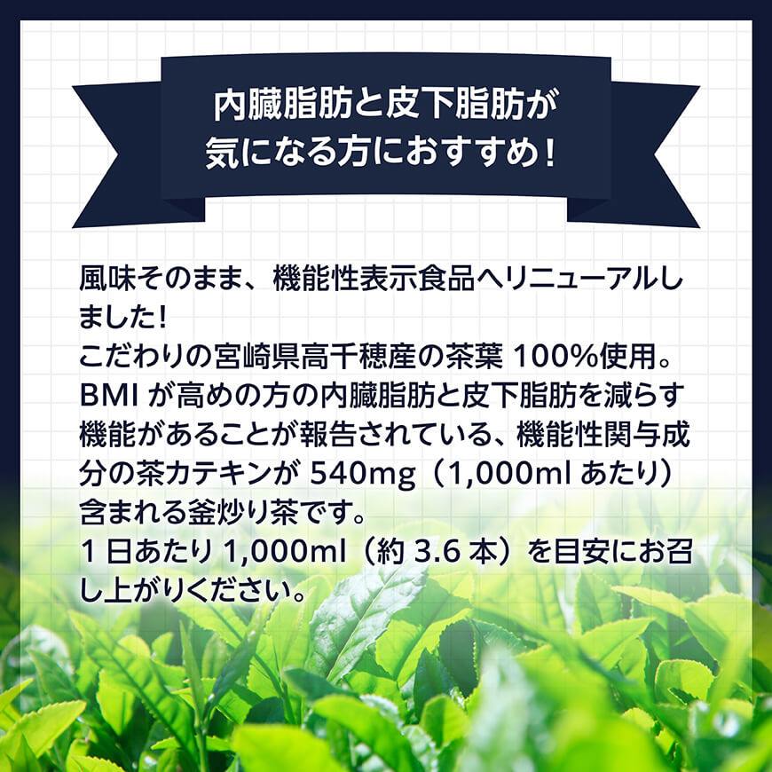 サンA 濃い味釜炒り茶(機能性表示食品)PET（280ml×48本） 【 お茶 釜炒り茶 飲料お茶 ペットボトルお茶 長期保存お茶 備蓄お茶 】
