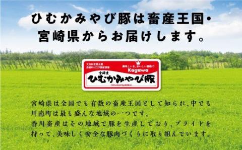 第56回天皇杯受賞企業「香川畜産」小間切れセット4,000g【肉 豚肉 国産 九州産 宮崎県産 豚こま おかず たっぷり】