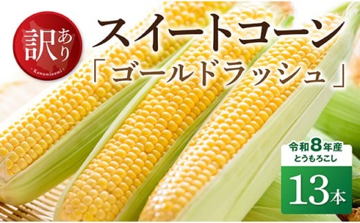 【訳あり】令和8年産とうもろこし　スイートコーン「ゴールドラッシュ」13本 【 新鮮 農家直送 トウモロコシ 産地直送 季節限定 期間限定 宮崎県産 九州産 】