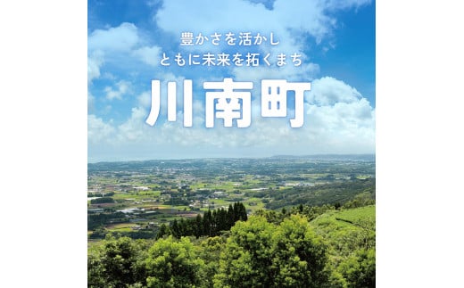 【3ヶ月定期便】緑茶2L(6本)＋濃い茶2L(6本) (PET）12本 【 お茶 飲料類 緑茶 濃い茶 PET セット 詰め合わせ 飲みもの 全3回 】