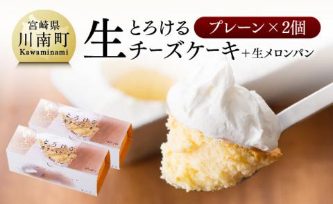 新『押川春月堂本店』とろける生チーズケーキ（プレーン2個）【スイーツ ケーキ チーズケーキ 洋菓子 おまけつき】