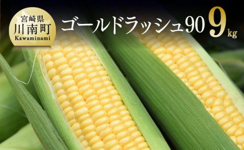 【令和7年発送】政岡さんちのスイートコーン『ゴールドラッシュ90』9kg 【 先行予約 数量限定 期間限定 とうもろこし スイートコーン 2025年発送 先行受付 宮崎県産 九州産 】