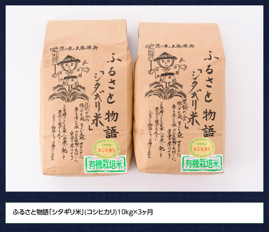 【3ヶ月定期便】【令和6年産】宮崎県産こしひかり「シタギリ米」5kg×2 【 お米 新米 2024年産 定期便 全3回 】