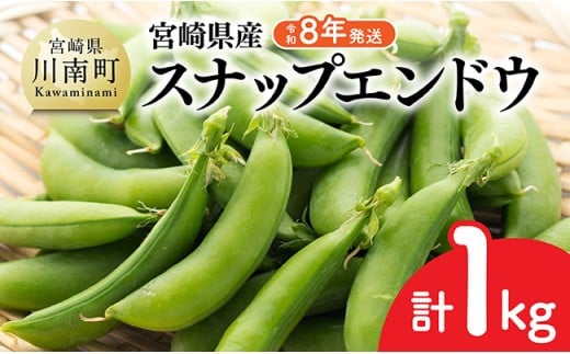 【令和8年発送】宮崎県産　スナップエンドウ1.0kg 【 野菜 宮崎県産 川南町産 野菜 産地直送 新鮮 数量限定 】