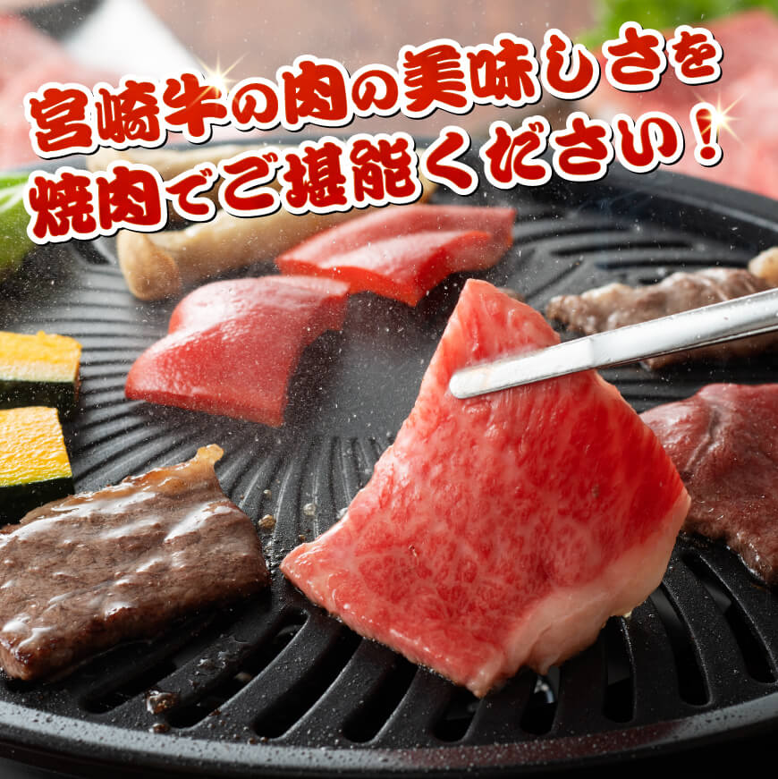 宮崎牛霜降り焼肉 700g (350g×2) 【肉 牛肉 国産 宮崎県産 宮崎牛 黒毛和牛 和牛 焼肉 BBQ 4等級  A4ランク 肩ロース  E11122】