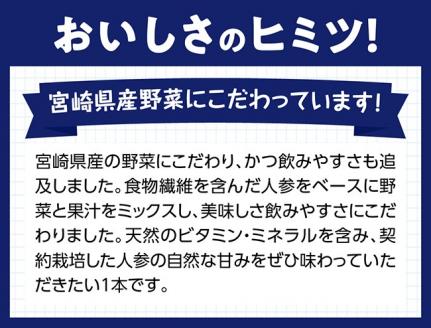 ※数量限定※【訳あり】サンAOh！宮崎野菜ミックス紙パック125ml×24本 【 野菜飲料 野菜ジュース ミックスジュース 飲料類 セット ジュース ソフトドリンク 】