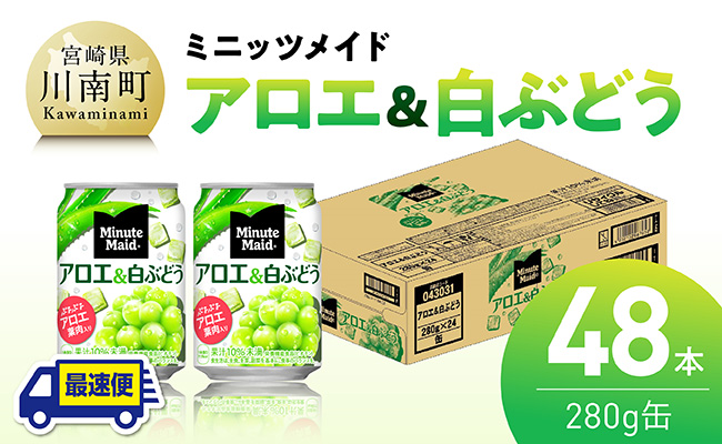 【最速便】コカ・コーラ ミニッツメイド「アロエ&白ぶどう」280g缶 48本（24本×2ケース） 【 飲料 アロエ 白ぶどう 果汁 長期保存 】