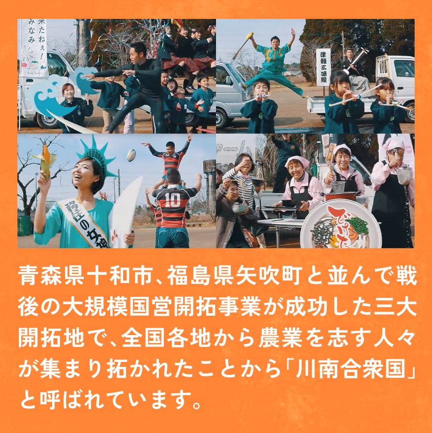 縲 蟆丞縺 縲 螳ョ蟠守恁逕」 闍・鮓 閧ゥ閧 3kg 縲 閧ゥ閧 鮓剰i 縺ィ繧願i 蟆丞縺 逵溽ゥコ繝代ャ繧ッ 縲