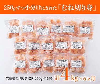 【定期便】宮崎県産 若鶏 むね肉 切身 4kg (250g×16袋) 6ヶ月定期便【国産 九州産 鶏肉 肉 とり ムネ肉 小分け カット済み たっぷり 大容量 全6回】